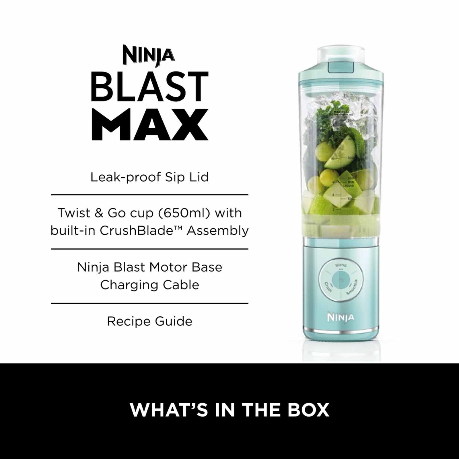 NINJA Blast Max - Cool Grey BC251SMGY - Image 10